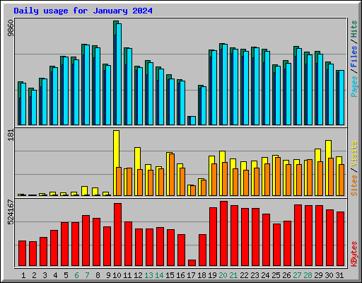 Daily usage for January 2024