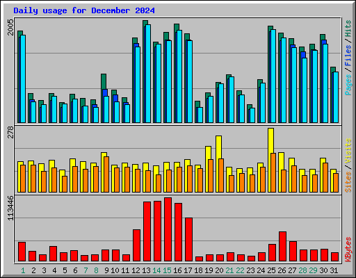 Daily usage for December 2024