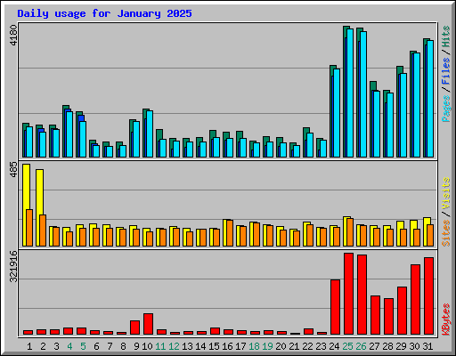 Daily usage for January 2025