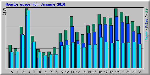 Hourly usage for January 2016