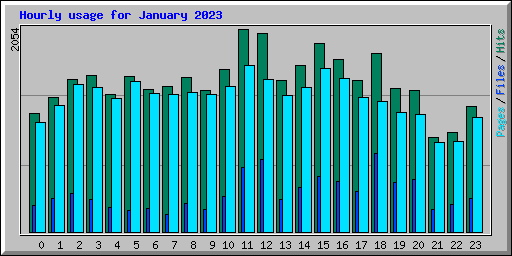 Hourly usage for January 2023