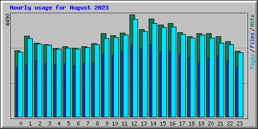 Hourly usage for August 2023