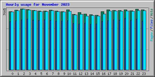 Hourly usage for November 2023