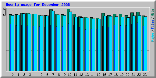 Hourly usage for December 2023