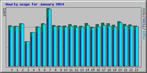 Hourly usage for January 2024