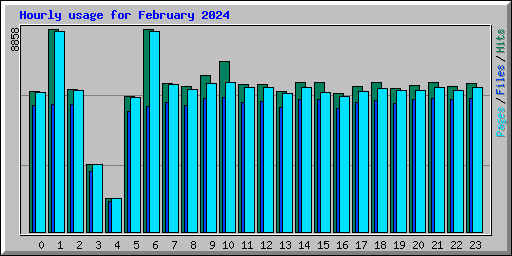 Hourly usage for February 2024