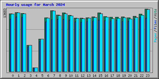 Hourly usage for March 2024