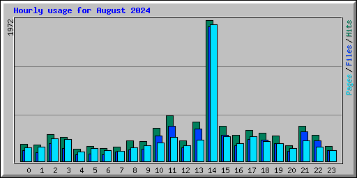Hourly usage for August 2024