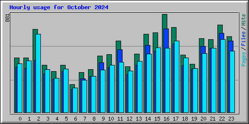 Hourly usage for October 2024
