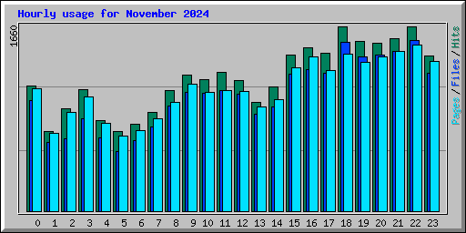 Hourly usage for November 2024