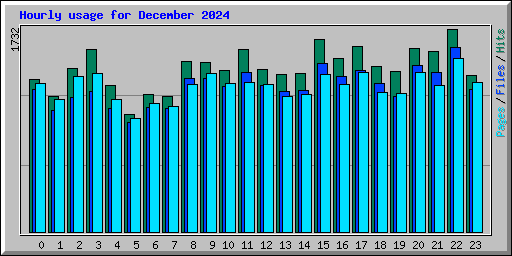 Hourly usage for December 2024