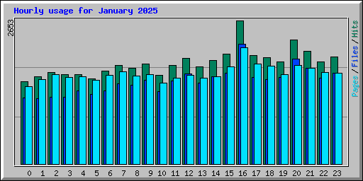 Hourly usage for January 2025