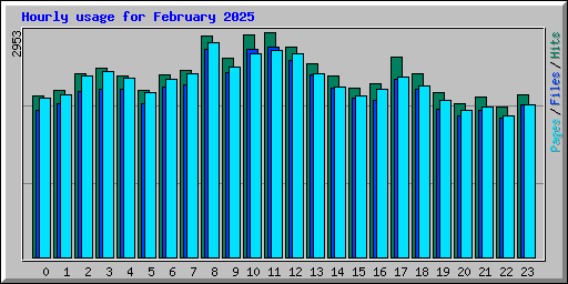 Hourly usage for February 2025