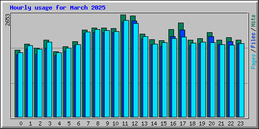 Hourly usage for March 2025