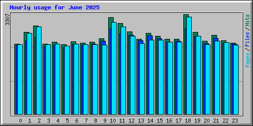 Hourly usage for June 2025